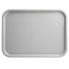 Plateau rectangle 47 x 36cm - Location de Matériel de réception